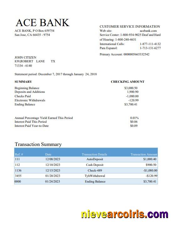USA ACE bank statement Word and PDF